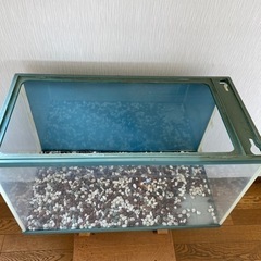 水槽（大）　プラスチック