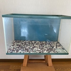 水槽（大）　プラスチックの画像