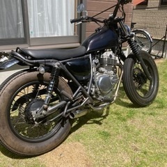 グラストラッカー250の画像