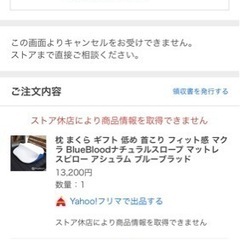 BlueBlood　ナチュラルスロープ マットレスピロー アシュラム ブルーブラッド　大型枕の画像