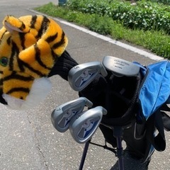 ジュニアゴルフクラブセットの画像