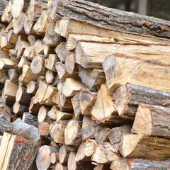 ナラ半乾燥薪1000キロ