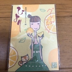 ★新品★ 油とり紙　グレープフルーツ