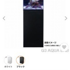 水槽の画像