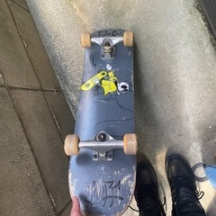 スポーツ マリンスポーツ