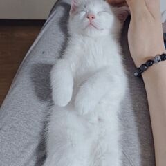 2ヶ月 男の子