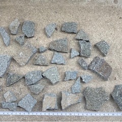 苔テラリウム、アクアリウム用品