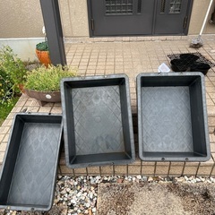 メダカ飼育　容器　ケース