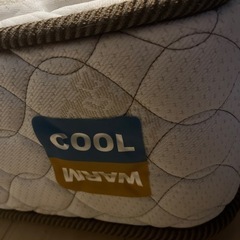 【お引渡し先決定】家具 寝具 フランスベッド　マットレスの画像