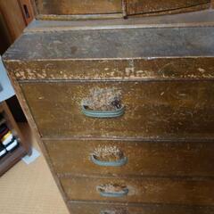 家具 収納家具 キャビネットの画像