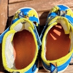 夏向け！子供用ウォーターシューズの画像