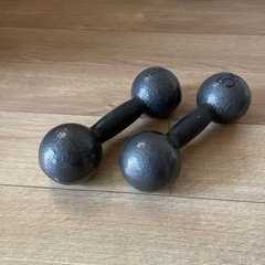 ダンベル5kg ×2本