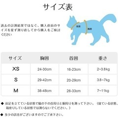 猫　ハーネスの画像