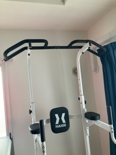 プロユース最高峰モデル プラップバー 耐荷重230kg トレーニング9種 懸垂バー 懸垂マシン 意匠登録済モデル／HG-P1002
