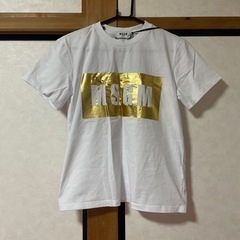 服/ファッション Tシャツ レディース