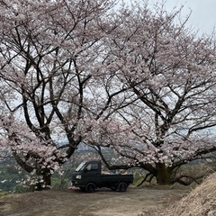 ハイゼットトラック２００系　4wd売ります