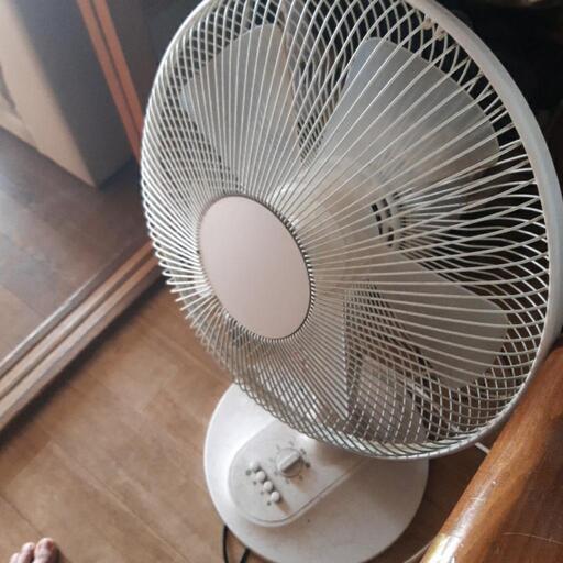 家電 季節、空調家電 扇風機