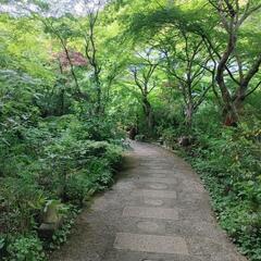 素敵な喫茶店を教えます。