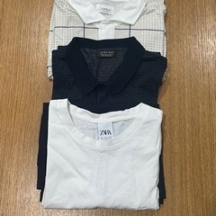 ZARA JUNRED カットソー、ポロシャツ、ニットポロ  ZARA