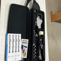 ☆値下げ☆K2405-171 nuvo CLARINEO キズ、...