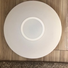 【早い者勝ち！】SHARP 調光調色可能！DL-AC204V/D...
