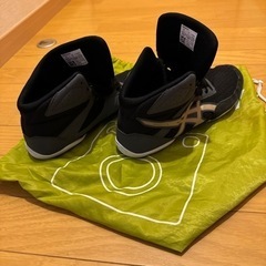 レスリングシューズ(取引中止)の画像
