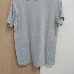 レディース Tシャツの画像