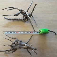 アクアリウム　熱帯魚　メダカの流木