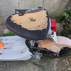 スズキ　チョイノリ　不動車の画像