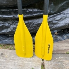 スポーツ マリンスポーツの画像