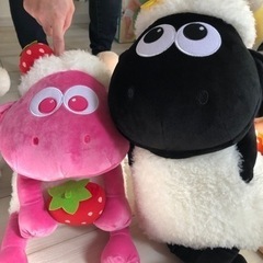 ひつじのショーンセット