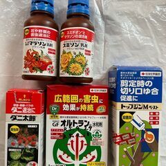 シンボルツリーや枝木の剪定・保護材等