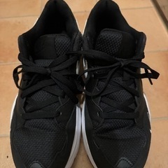 　　NIKE  エアマックス　靴/バッグ 靴 スニーカー　の画像