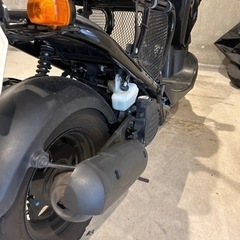 HONDA ズーマー  の画像