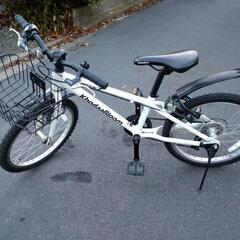 CodaBloom DRESON 20インチの画像