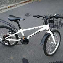 CodaBloom DRESON 20インチ