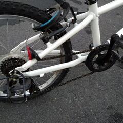 CodaBloom DRESON 20インチの画像