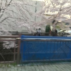 一緒に楽しくソフトバレー
