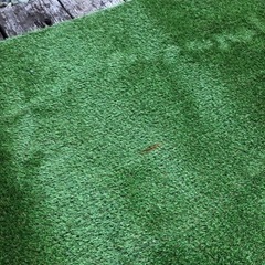 人工芝　３枚　５メートルx１メートル　の画像
