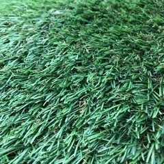 人工芝　３枚　５メートルx１メートル　の画像