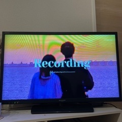 家電 テレビ 液晶テレビ