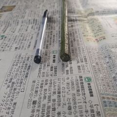 西和賀産　わらび　本日採りの画像