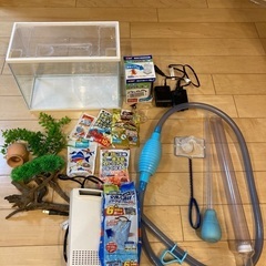 アクアリウム　一式