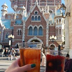 7日、8日、9日にディズニー一緒に行ってくれる方