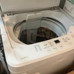 家電 生活家電 洗濯機の画像