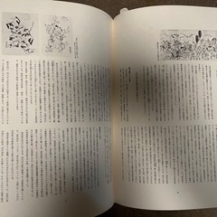 【5月31日まで】完全版 浮世絵大系　超ワイド版　 1〜17巻 + 横山大観の画像