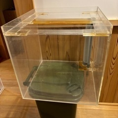 値下げ150センチオーバーフロー水槽セット　の画像
