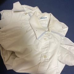初芝橋本高校高校　制服の画像