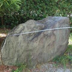 庭石、庭木助けます