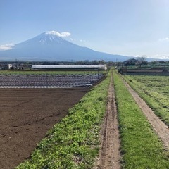 R6年6月2日開催忍野トレイルレースを歩こう - メンバー募集